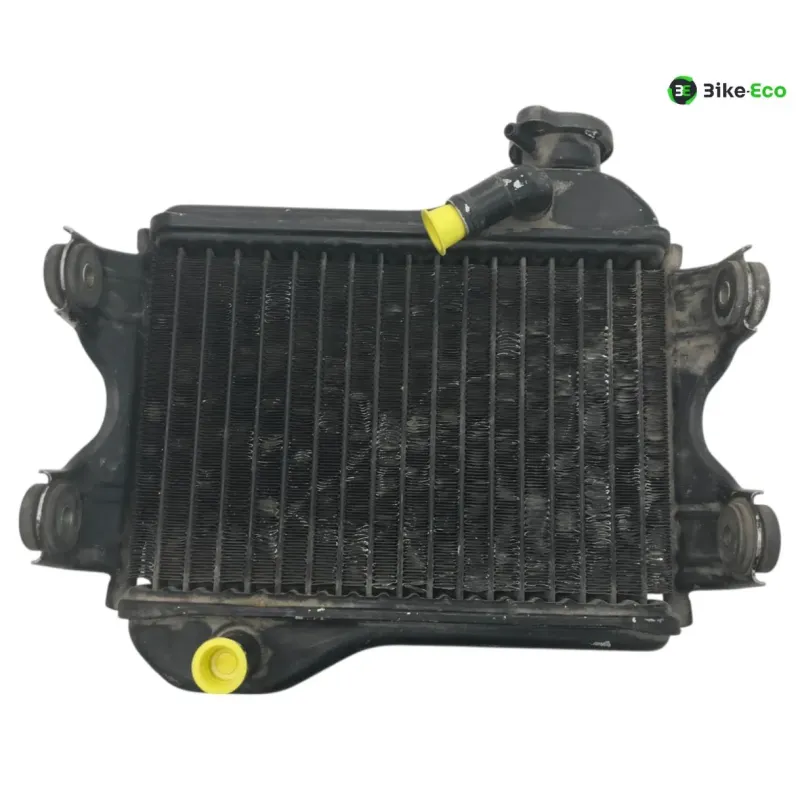 Radiateur eau SUZUKI RG 80 1984-1993 GAMMA