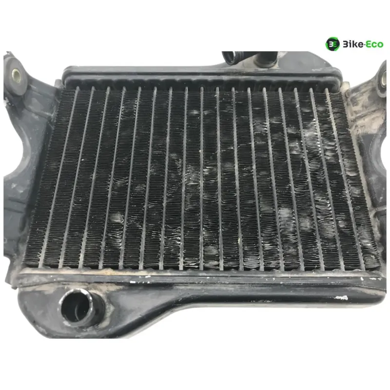 Radiateur eau SUZUKI RG 80 1984-1993 GAMMA