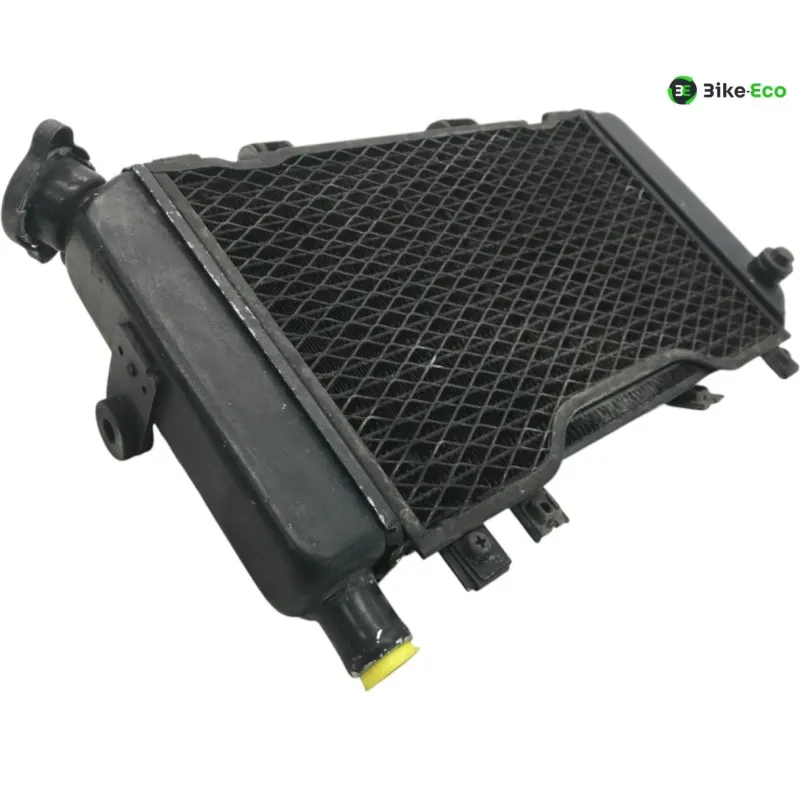 Radiateur eau YAMAHA TDM 850 1996-2001