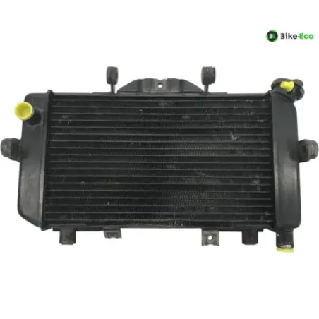 Radiateur eau YAMAHA TDM 850 1996-2001