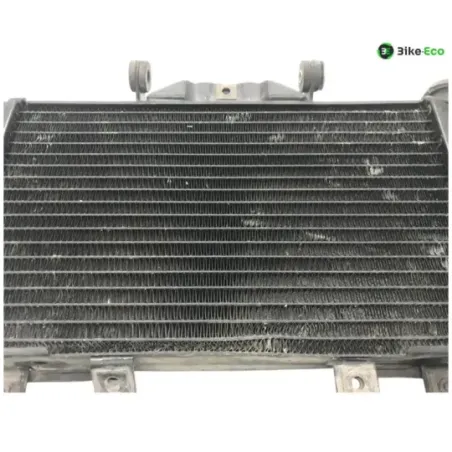 Radiateur eau YAMAHA TDM 850 1996-2001