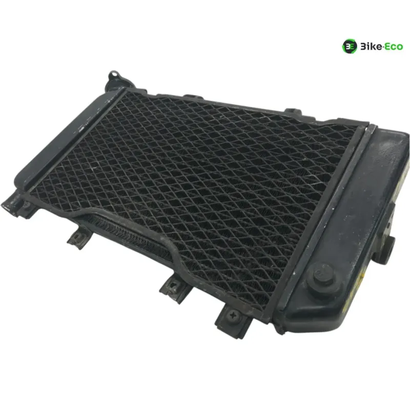 Radiateur eau YAMAHA TDM 850 1996-2001
