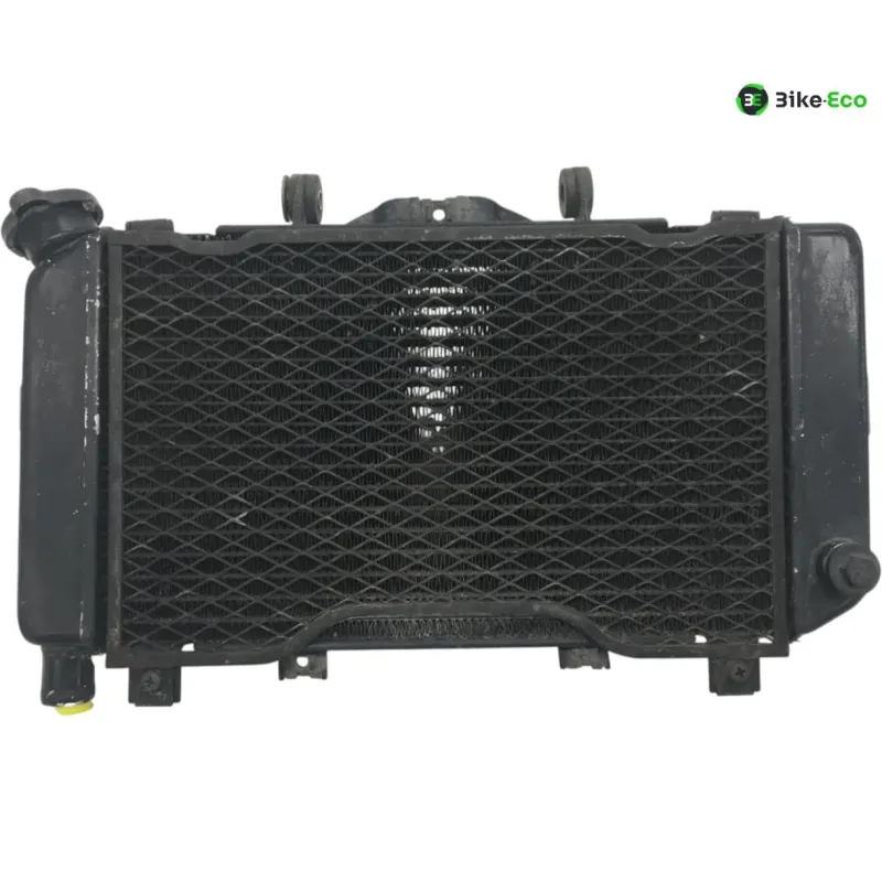 Radiateur eau YAMAHA TDM 850 1996-2001