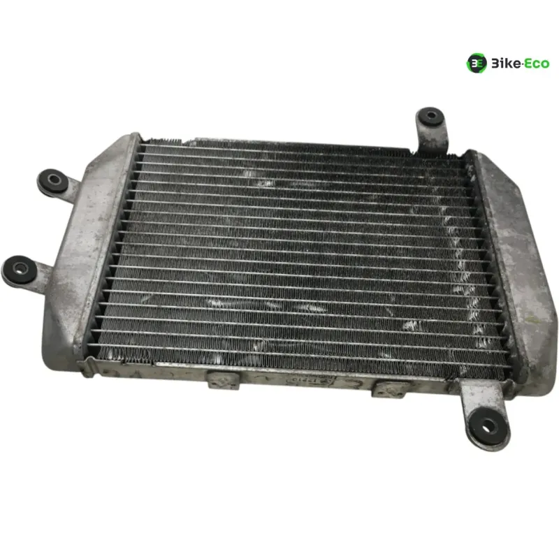 Radiateur eau SUZUKI AN 400 1999-2002 BURGMAN