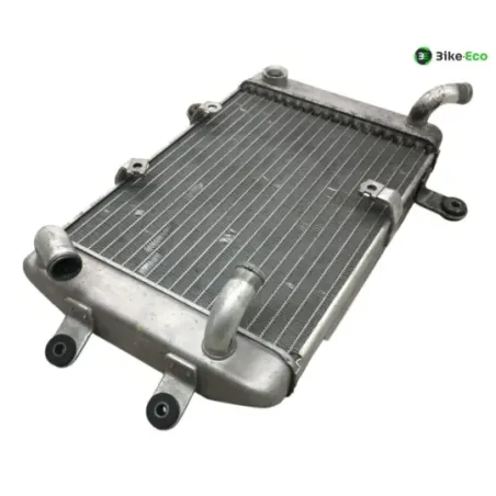 Radiateur eau SUZUKI AN 400 1999-2002 BURGMAN