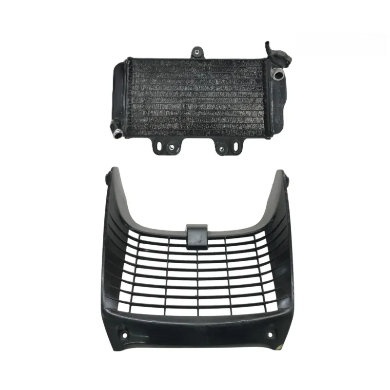 Radiateur eau YAMAHA TDR 125 1997-2003