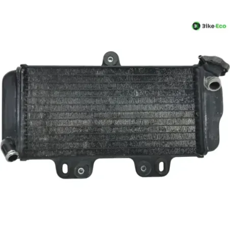 Radiateur eau YAMAHA TDR 125 1997-2003