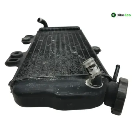 Radiateur eau YAMAHA TDR 125 1997-2003