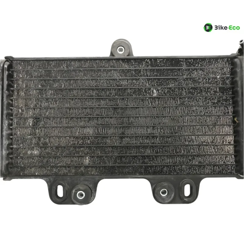 Radiateur eau YAMAHA TDR 125 1997-2003