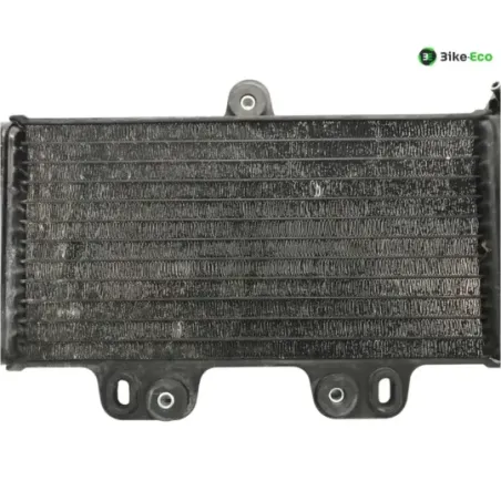 Radiateur eau YAMAHA TDR 125 1997-2003