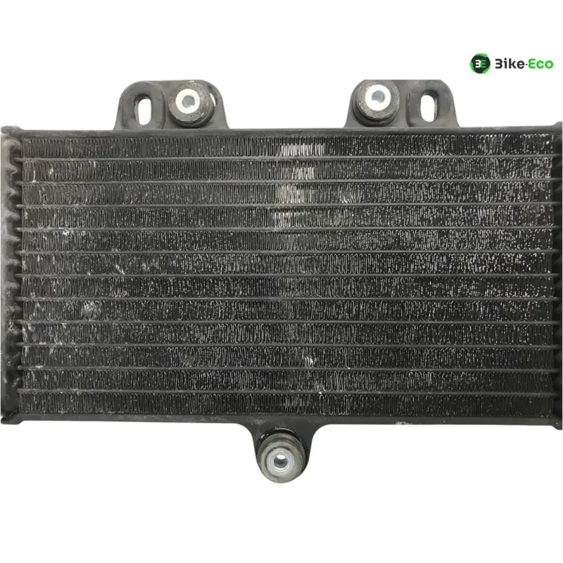 Radiateur eau YAMAHA TDR 125 1997-2003
