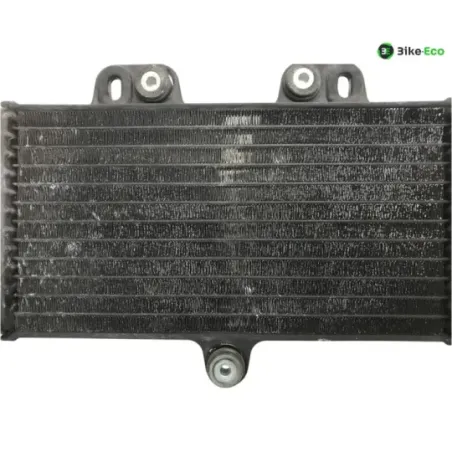 Radiateur eau YAMAHA TDR 125 1997-2003