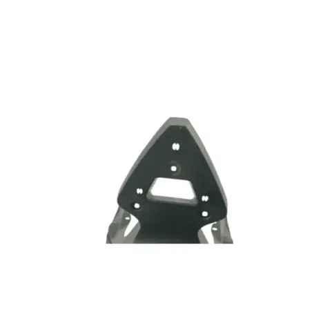 Support de plaque et eclairage BMW C EVOLUTION ABS 2013 - 2020