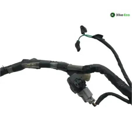 Faisceau electrique HONDA CBF 125 2009-2012