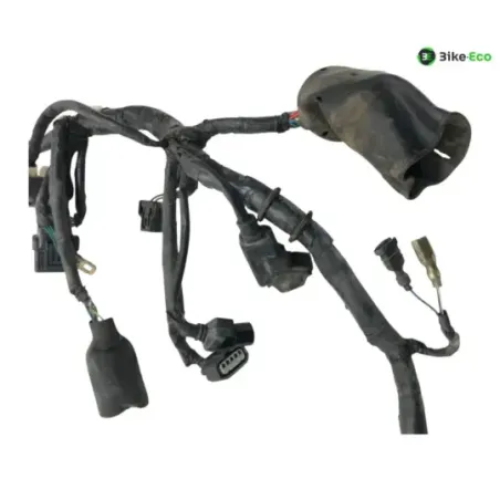 Faisceau electrique HONDA CBF 125 2009-2012