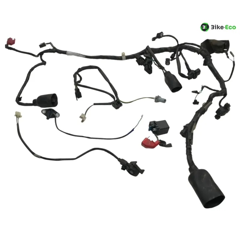 Faisceau electrique HONDA CBF 125 2009-2012