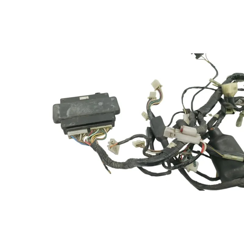 Faisceau electrique KAWASAKI GTR 1000 1986 - 2004