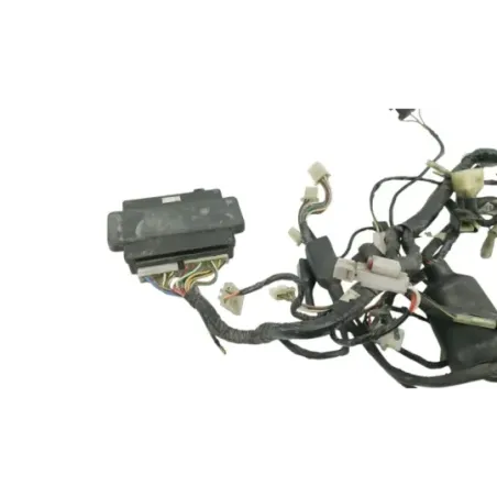 Faisceau electrique KAWASAKI GTR 1000 1986 - 2004