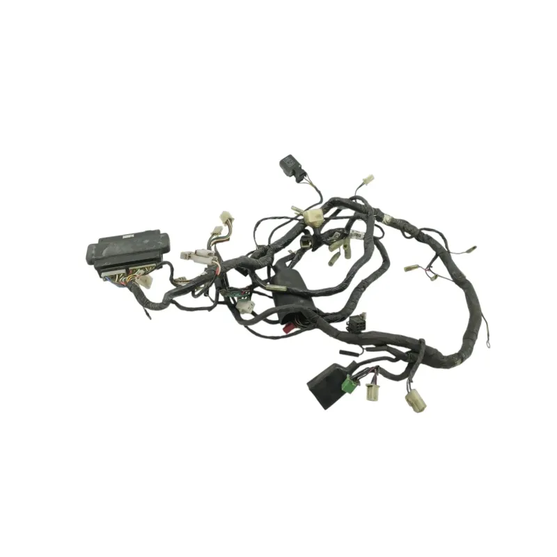 Faisceau electrique KAWASAKI GTR 1000 1986 - 2004