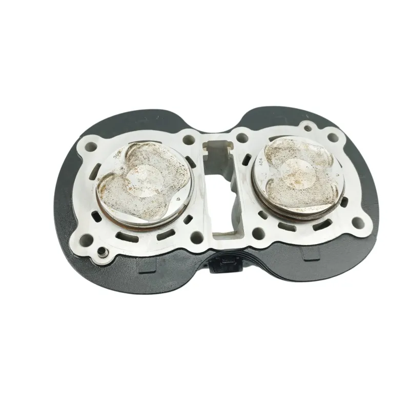 Cylindre TRIUMPH BONNEVILLE 900 T 100 ABS 2017 - 2025