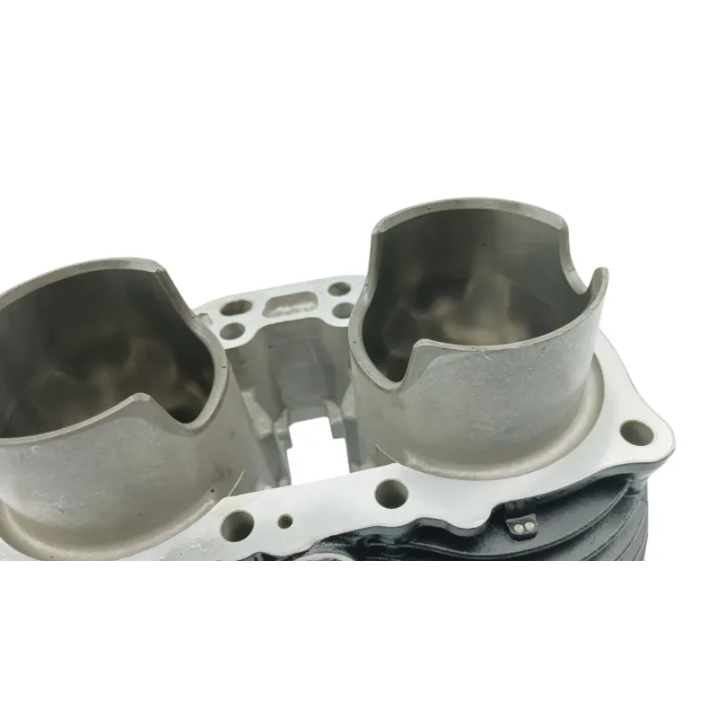 Cylindre TRIUMPH BONNEVILLE 900 T 100 ABS 2017 - 2025