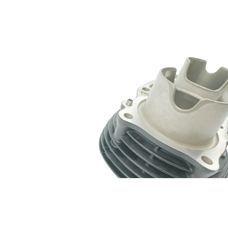 Cylindre TRIUMPH BONNEVILLE 900 T 100 ABS 2017 - 2025