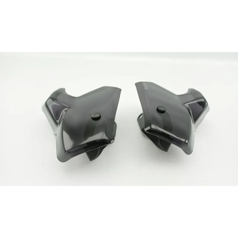 Protege main droit BMW R 1250 GS 2018 - 2024