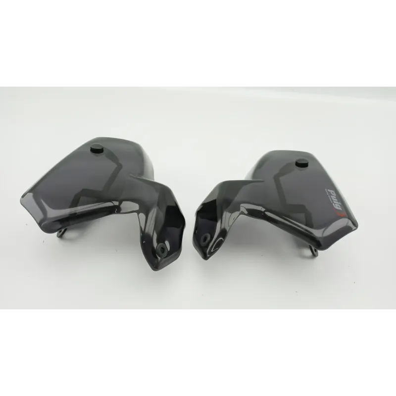 Protege main droit BMW R 1250 GS 2018 - 2024