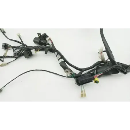 Faisceau electrique KYMCO PEOPLE 125 S ABS 2017 - 2019