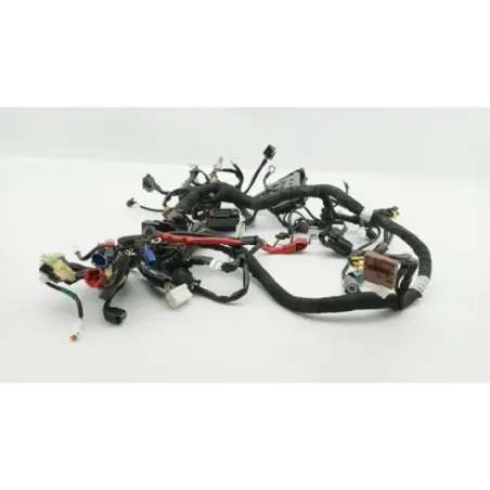 Faisceau electrique HUSQVARNA VITPILEN 401 2020 - 2024