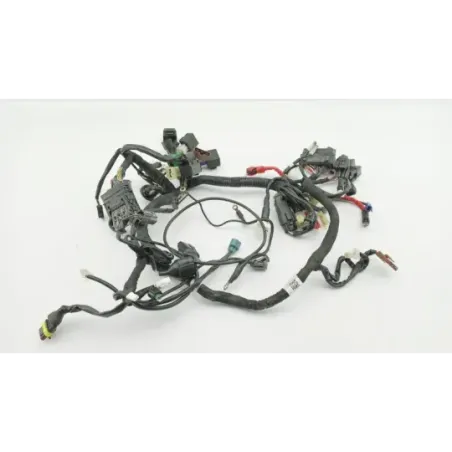 Faisceau electrique HUSQVARNA VITPILEN 401 2020 - 2024