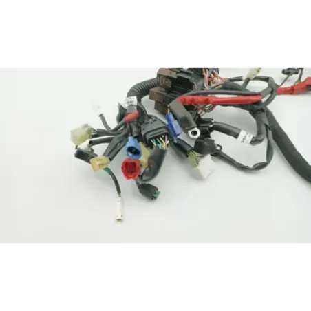 Faisceau electrique HUSQVARNA VITPILEN 401 2020 - 2024