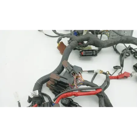 Faisceau electrique HUSQVARNA VITPILEN 401 2020 - 2024