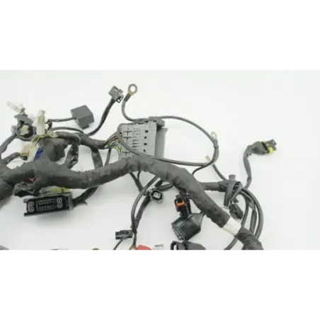 Faisceau electrique HUSQVARNA VITPILEN 401 2020 - 2024