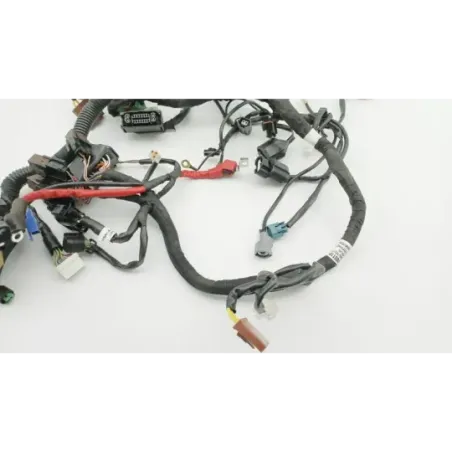 Faisceau electrique HUSQVARNA VITPILEN 401 2020 - 2024