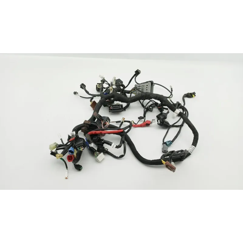 Faisceau electrique HUSQVARNA VITPILEN 401 2020 - 2024