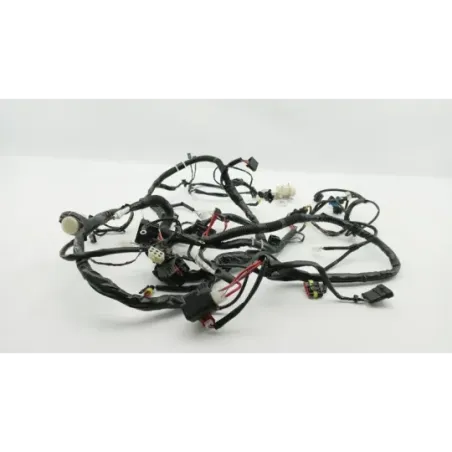 Faisceau electrique PIAGGIO LIBERTY 50 2023 - 2024