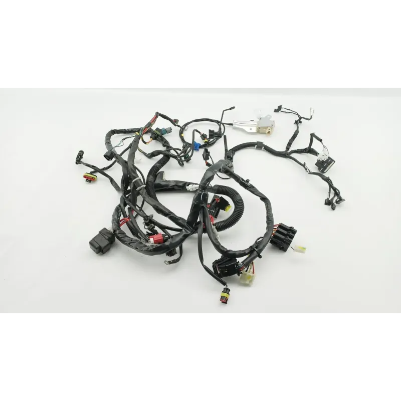 Faisceau electrique PIAGGIO LIBERTY 50 2023 - 2024