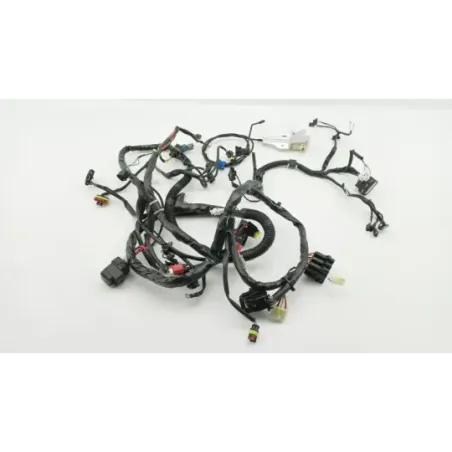 Faisceau electrique PIAGGIO LIBERTY 50 2023 - 2024