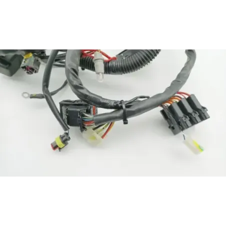 Faisceau electrique PIAGGIO LIBERTY 50 2023 - 2024