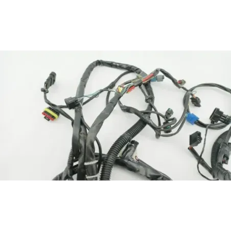 Faisceau electrique PIAGGIO LIBERTY 50 2023 - 2024