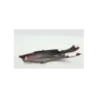 Coque arriere droit PIAGGIO LIBERTY 50 2023 - 2024 Coque arriere droit PIAGGIO LIBERTY 50 2023 - 2024