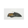 Flanc avant droit KTM DUKE 390 ABS 2017 - 2023 Flanc avant droit KTM DUKE 390 ABS 2017 - 2023
