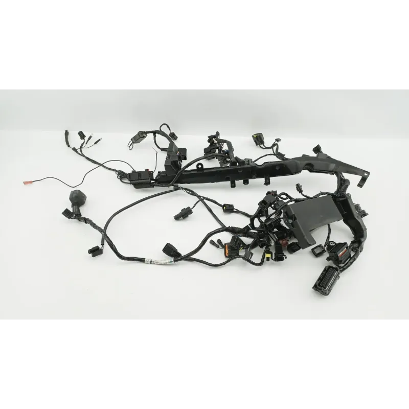Faisceau electrique TRIUMPH STREET TRIPLE 675 R ABS 2013 - 2016