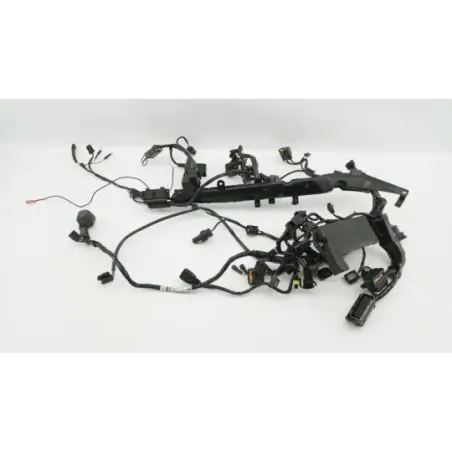 Faisceau electrique TRIUMPH STREET TRIPLE 675 R ABS 2013 - 2016