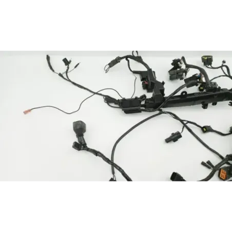 Faisceau electrique TRIUMPH STREET TRIPLE 675 R ABS 2013 - 2016