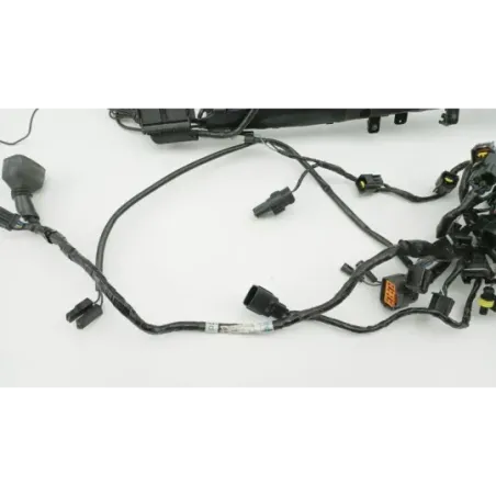 Faisceau electrique TRIUMPH STREET TRIPLE 675 R ABS 2013 - 2016