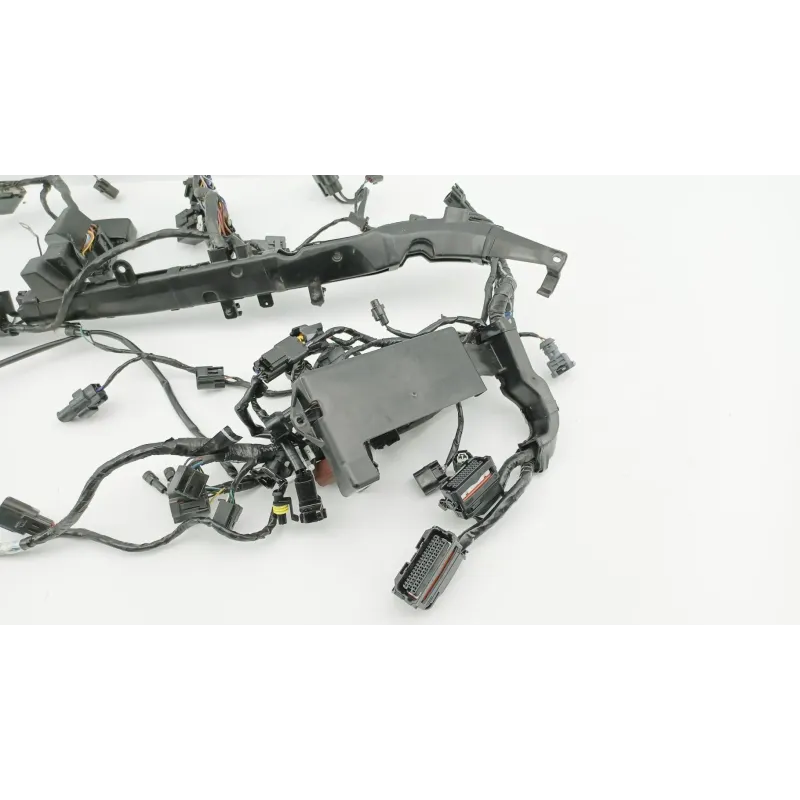 Faisceau electrique TRIUMPH STREET TRIPLE 675 R ABS 2013 - 2016