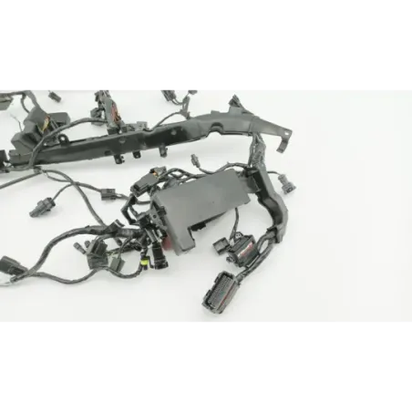 Faisceau electrique TRIUMPH STREET TRIPLE 675 R ABS 2013 - 2016