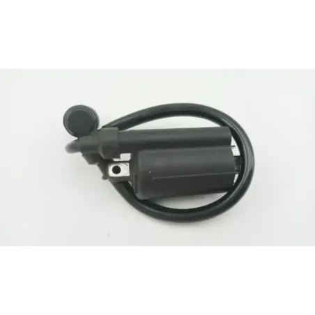 Bobine allumage ORCAL SIRIO 125 2018 - 2023